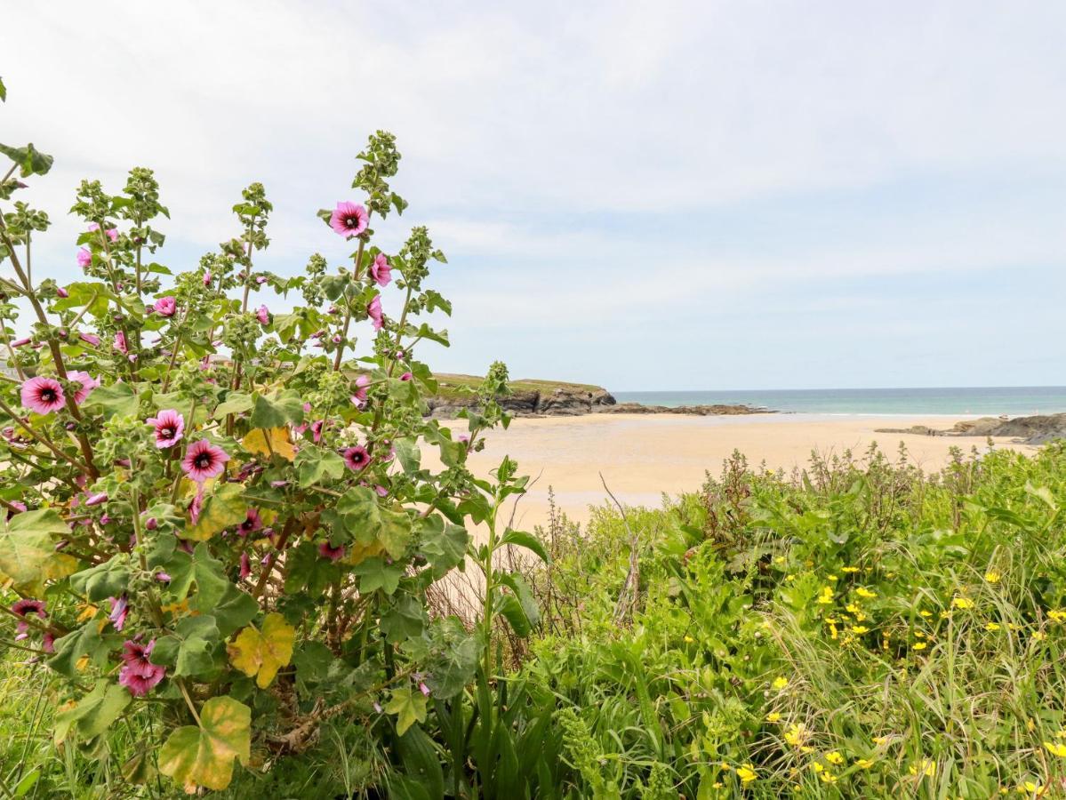 Constantine Bay Cottage Padstow Dış mekan fotoğraf